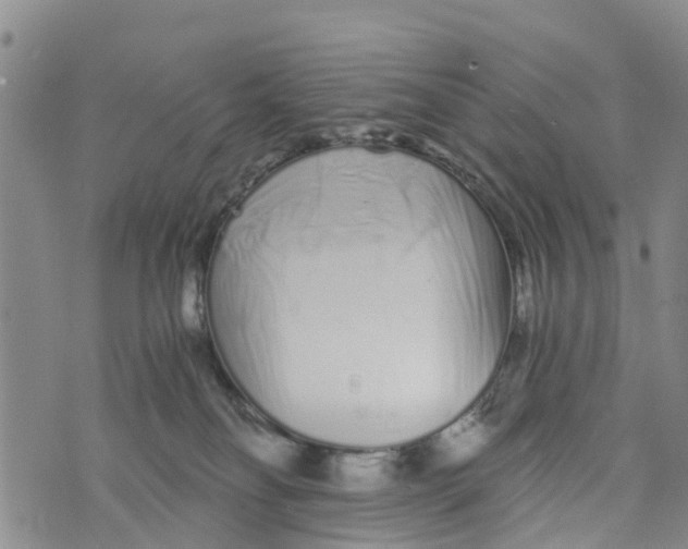 X0000073700134200608311739