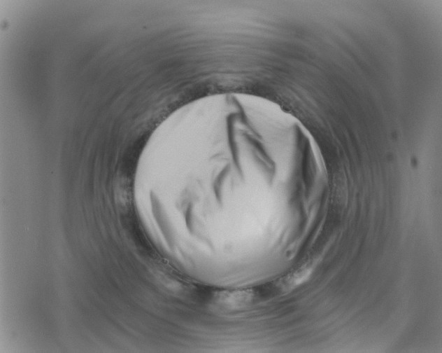 X0000073700135200608311739