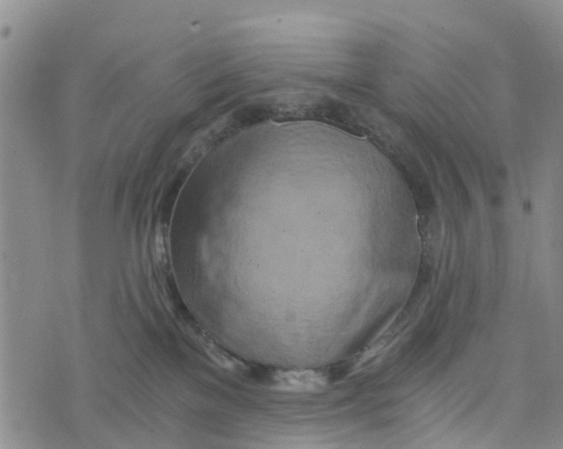 X0000073700137200608311739