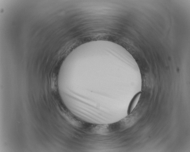 X0000073700138200608311739