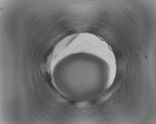 X0000073700139200608311739