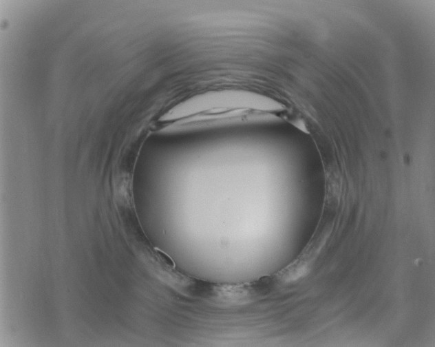 X0000073700141200608311739