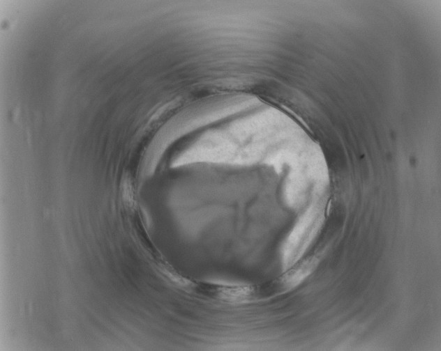 X0000073700143200608311739