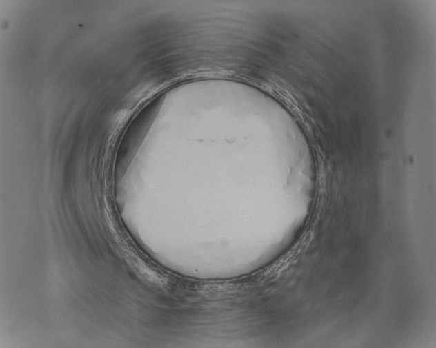 X0000073700145200608311738