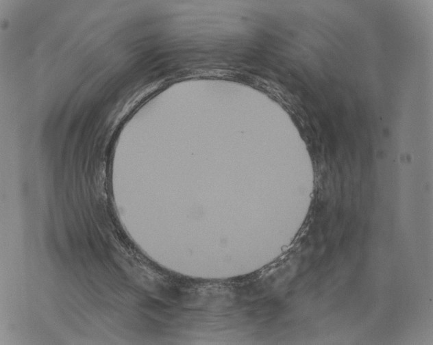 X0000073700146200608311738