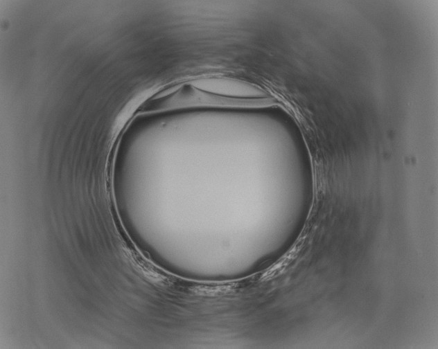 X0000073700147200608311738