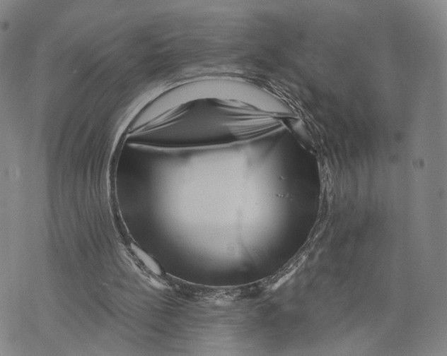 X0000073700148200608311738