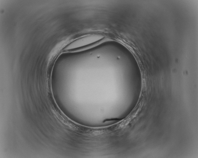 X0000073700149200608311738