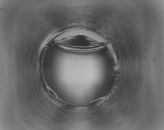 X0000073700150200608311738