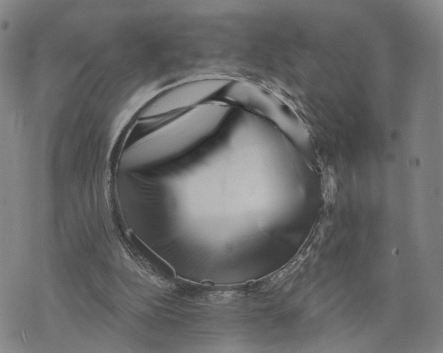 X0000073700152200608311738