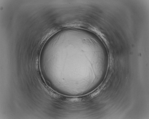 X0000073700153200608311738