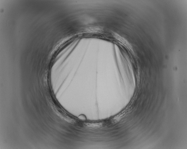 X0000073700155200608311738