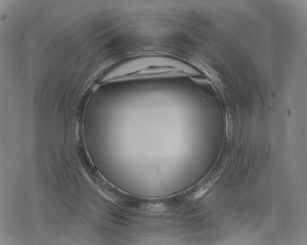 X0000073700157200608311738