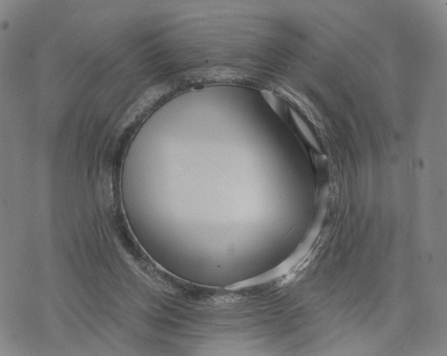 X0000073700158200608311738