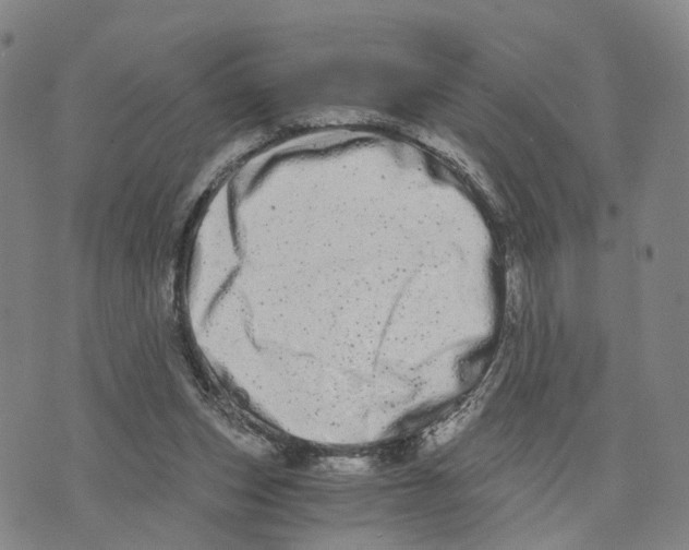 X0000073700159200608311738