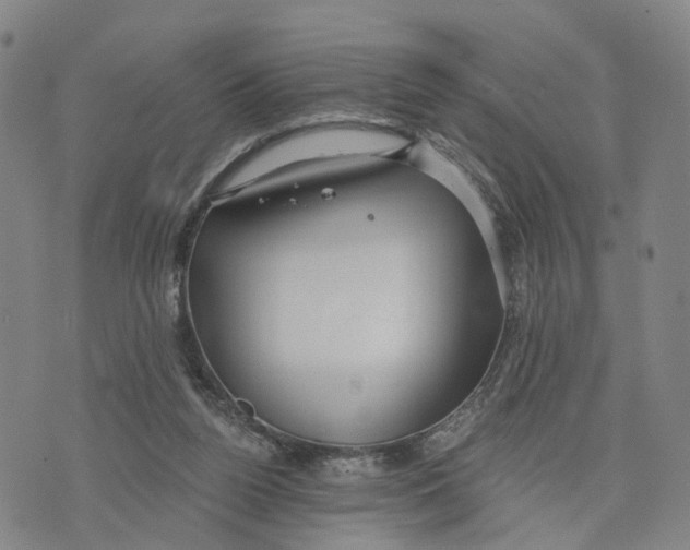 X0000073700160200608311738