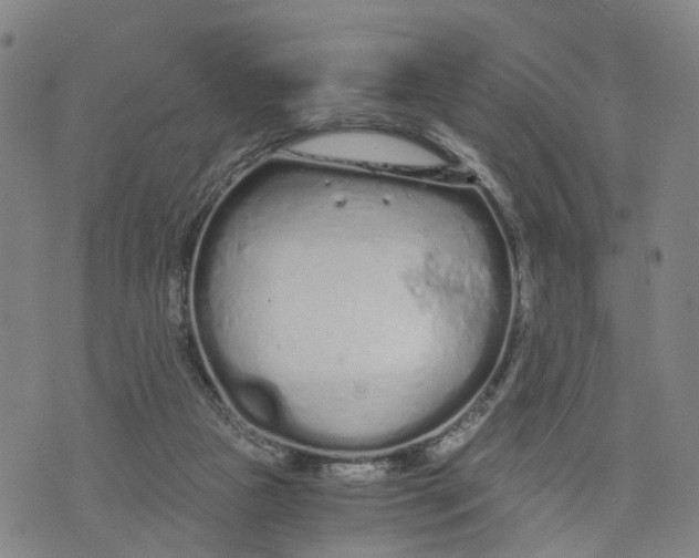 X0000073700161200608311738