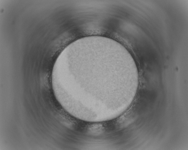 X0000073700162200608311738