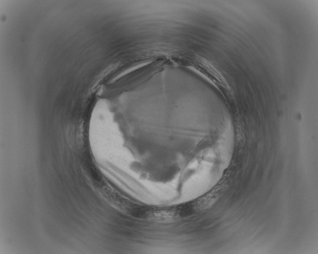 X0000073700163200608311738