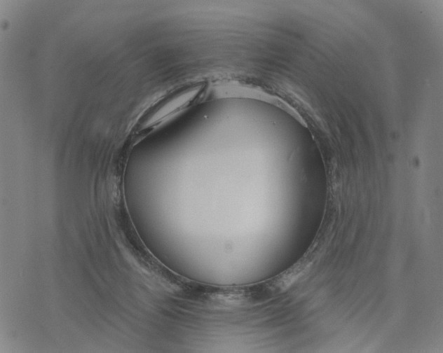 X0000073700164200608311738