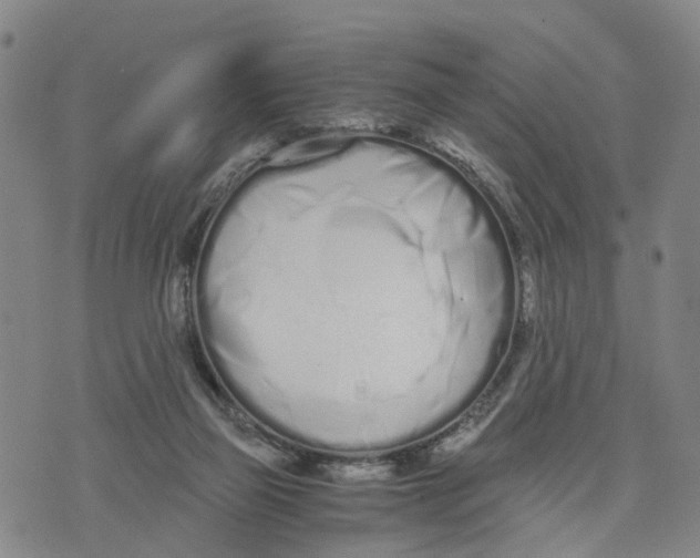 X0000073700165200608311738