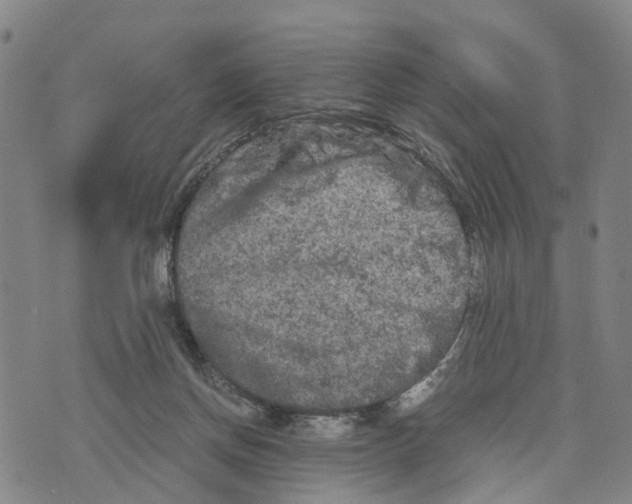 X0000073700166200608311738