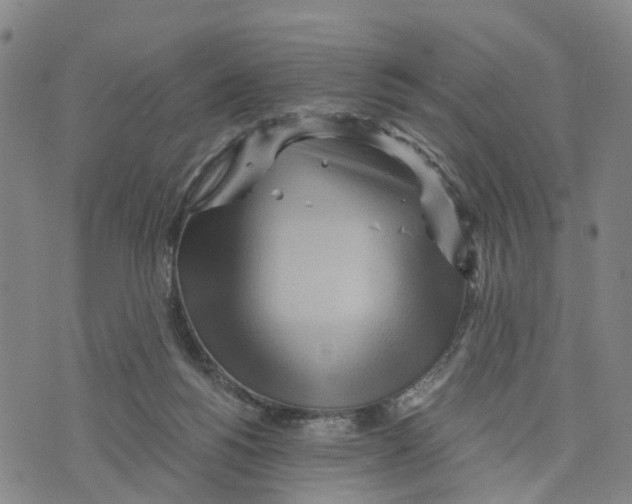 X0000073700168200608311738