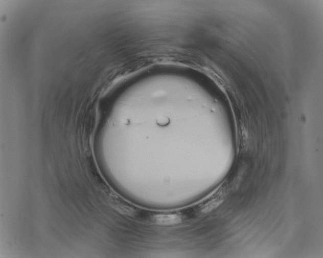 X0000073700169200608311738