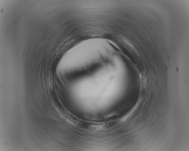 X0000073700170200608311738