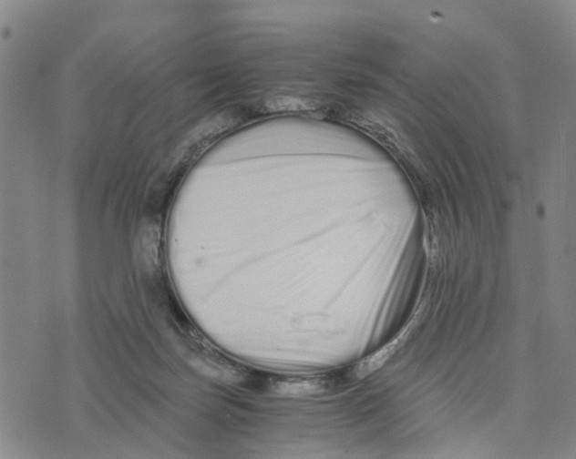 X0000073700171200608311738