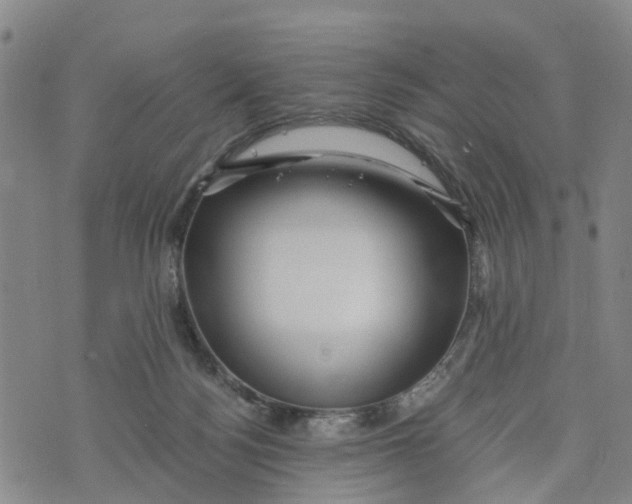 X0000073700172200608311739