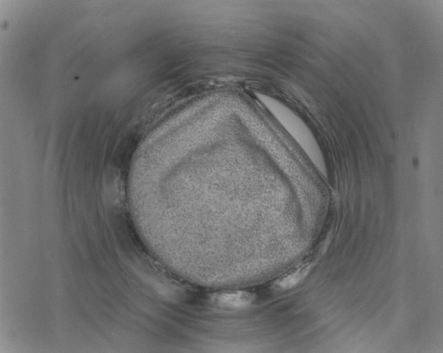 X0000073700173200608311739