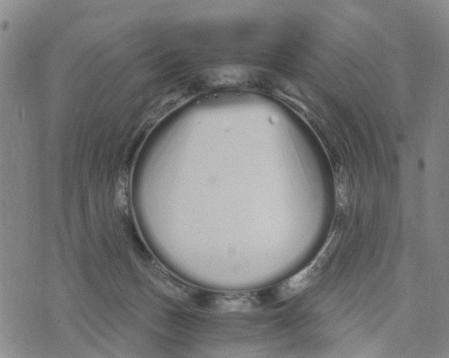 X0000073700175200608311739