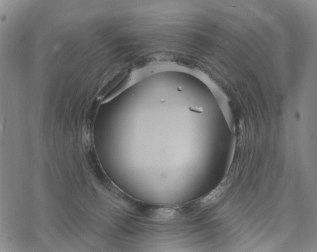 X0000073700176200608311739