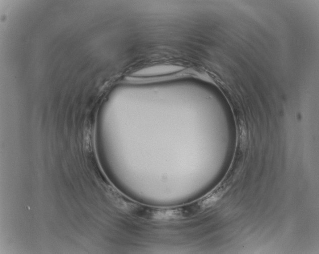 X0000073700177200608311739