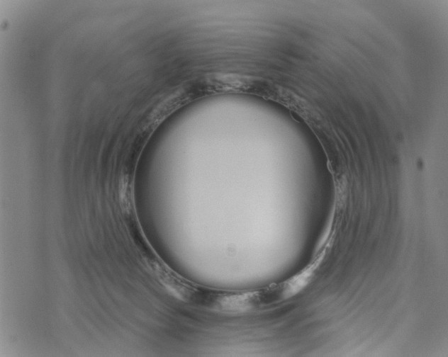 X0000073700178200608311739