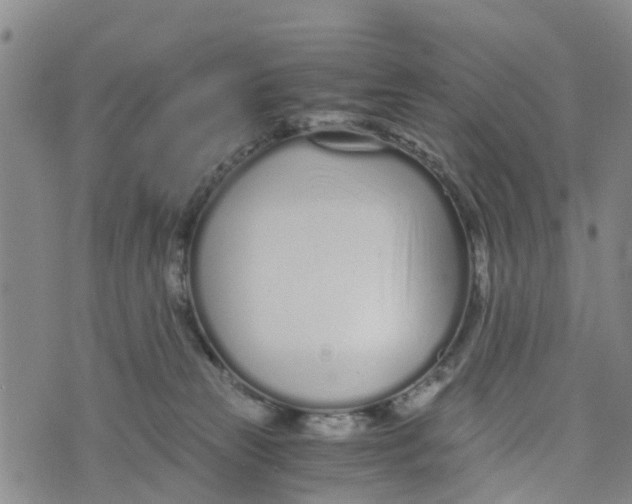 X0000073700181200608311739