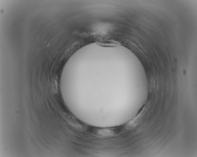 X0000073700183200608311739