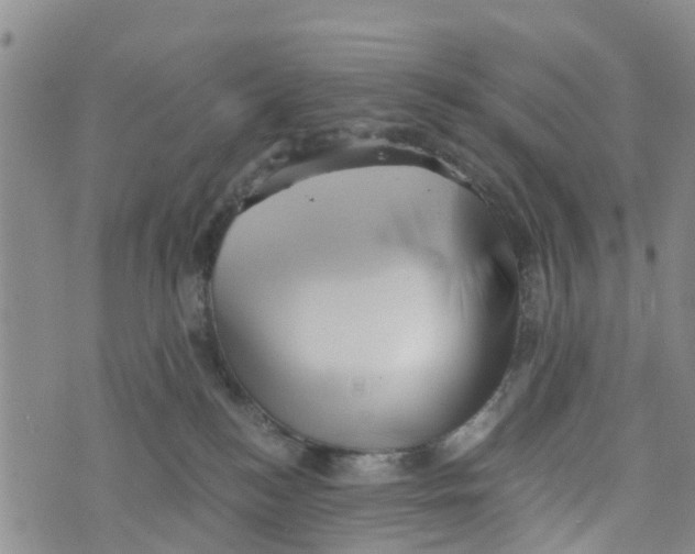 X0000073700184200608311739