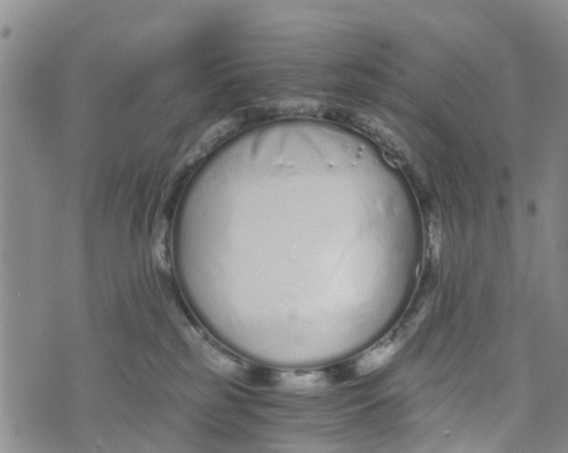 X0000073700185200608311739