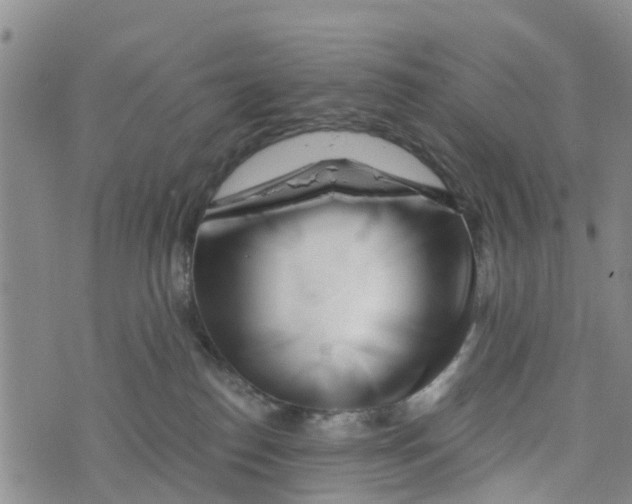 X0000073700186200608311739