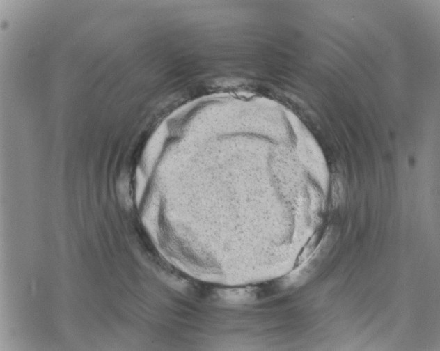 X0000073700187200608311739