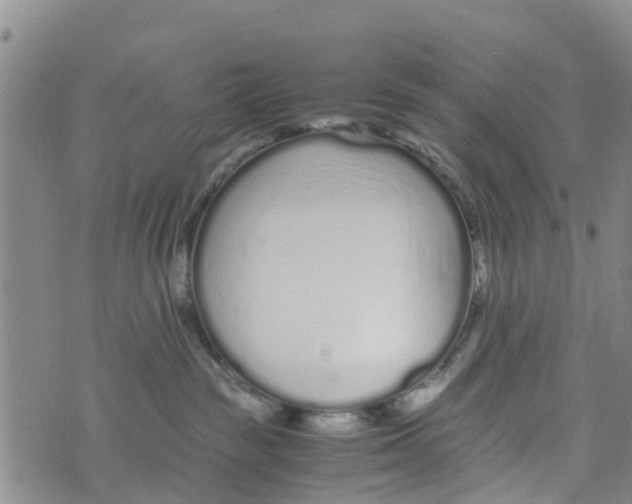 X0000073700189200608311739