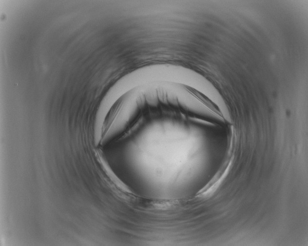 X0000073700190200608311739