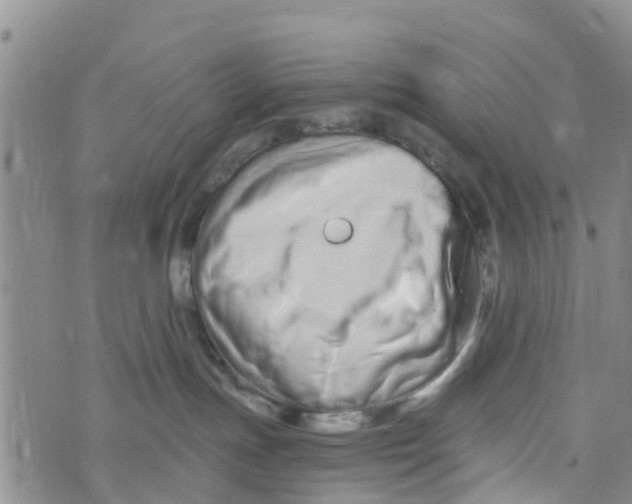 X0000073700191200608311739