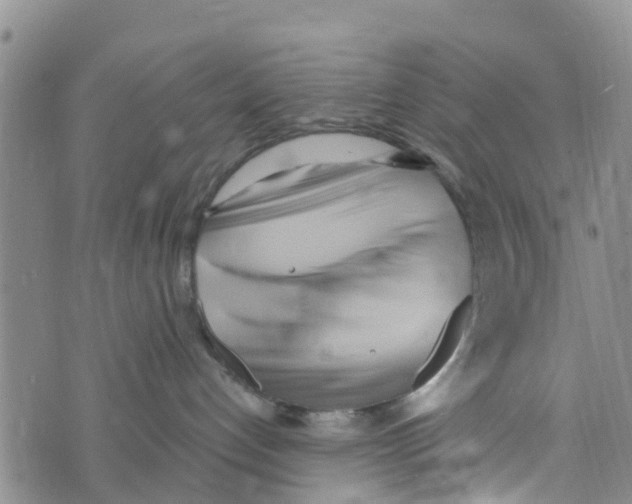 X0000073700192200608311739