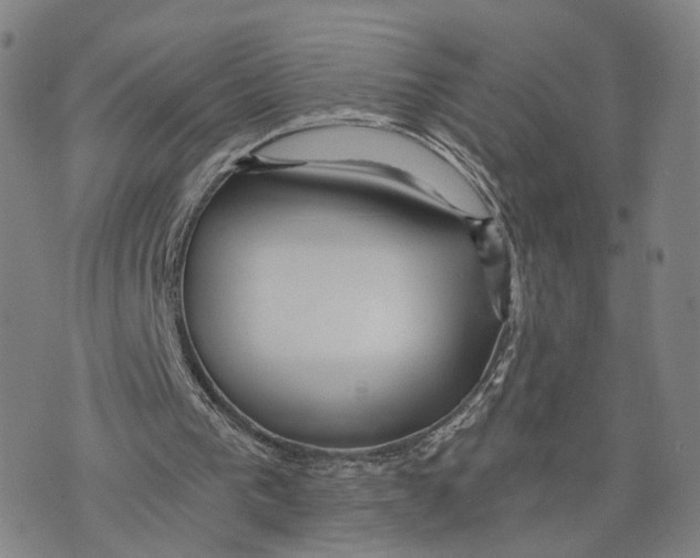 X0000073700193200608311738