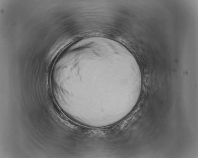 X0000073700194200608311738