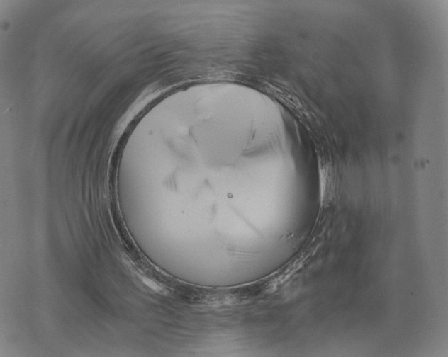 X0000073700195200608311738