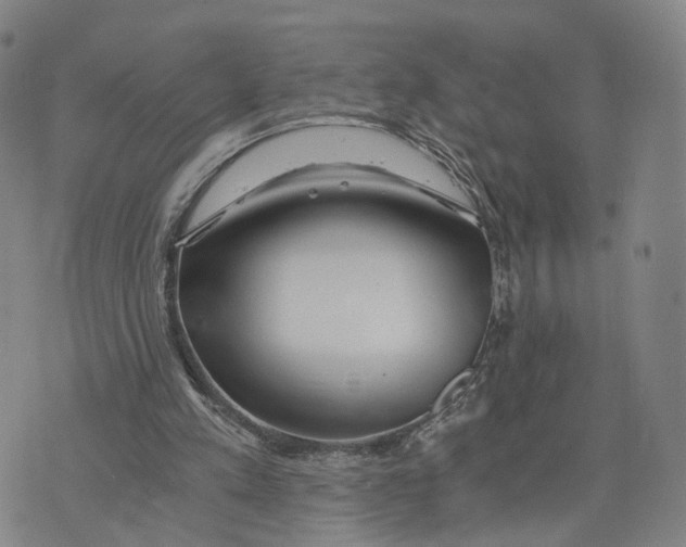 X0000073700197200608311738